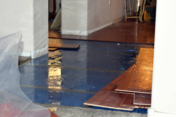 Professional Basement Flood Cleanup technician working in Papaikou, HI
